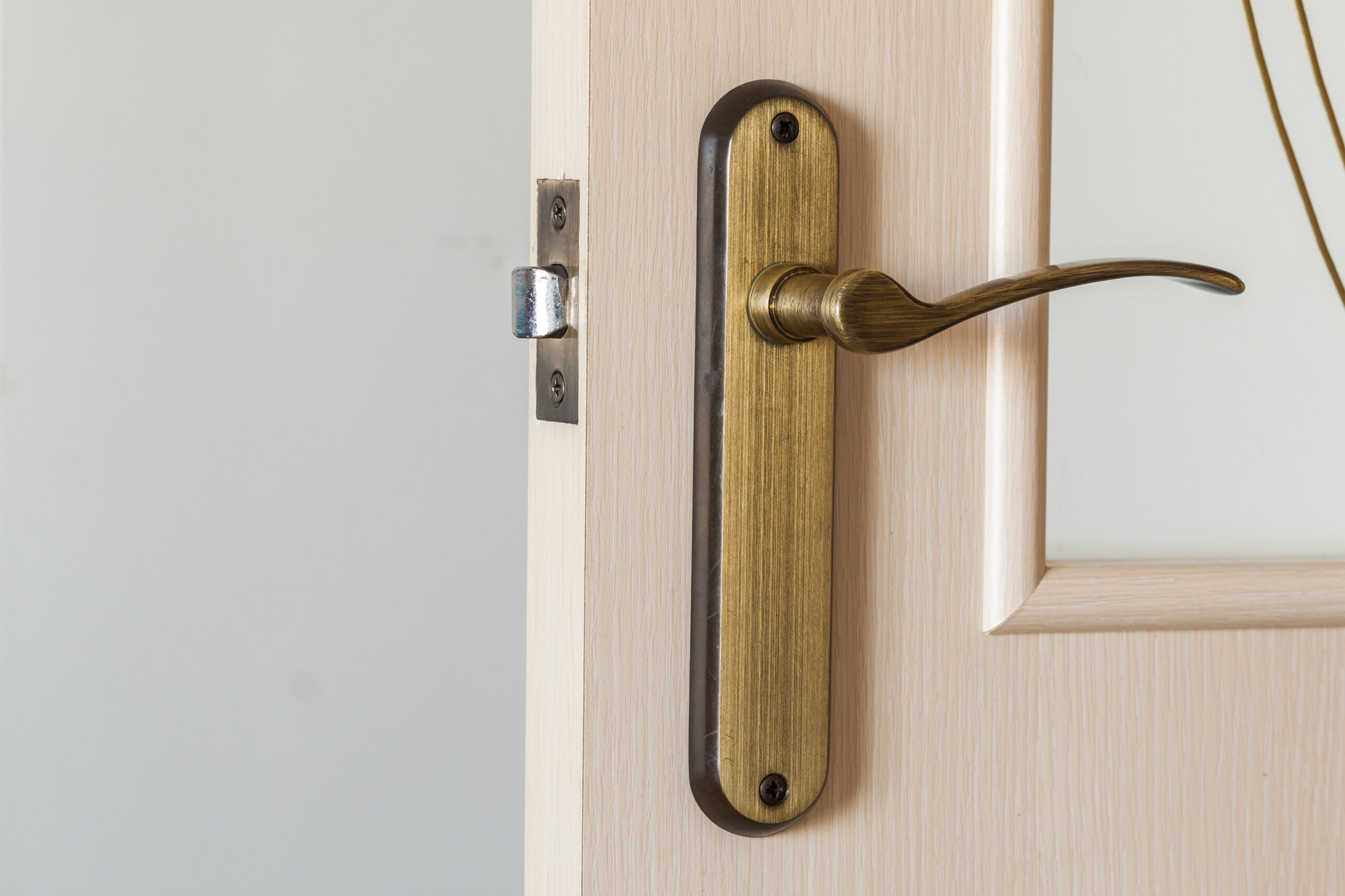 Liver Handles